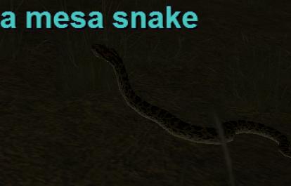 a mesa snake